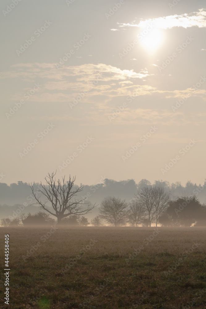 A misty morning in rural england countryside with no people A misty morning in rural england countryside with no people