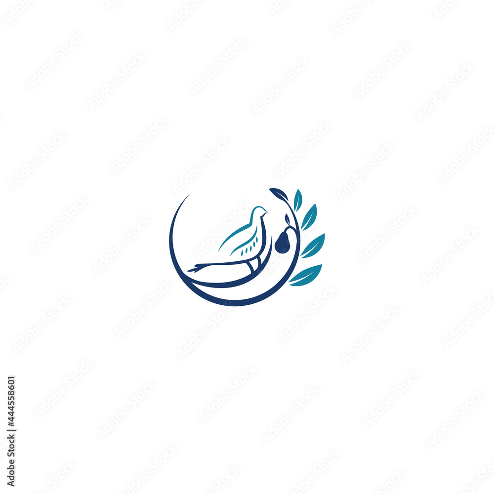 tree and bird logo design tree and bird logo design