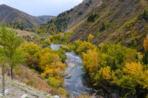 Corinne gorge. Fall. Overcast. Ile-Alatau mountains, Almaty region, Kazakhstan.