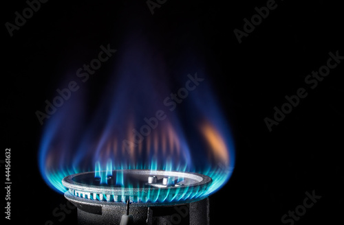 Flame of a gas burner on a black background photo