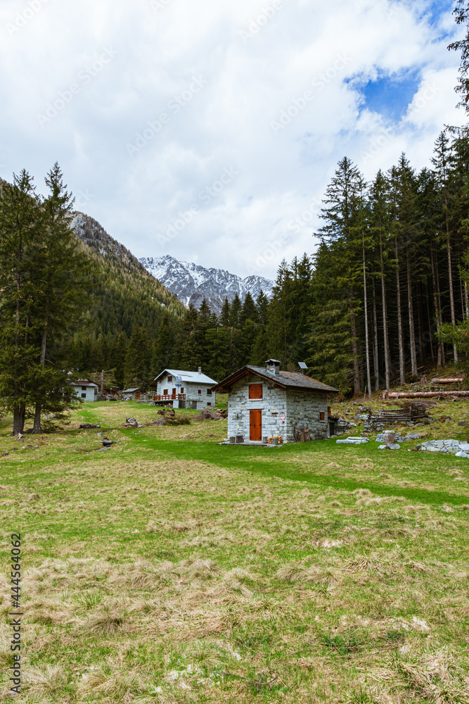 The mountain pastures, houses and meadows of val codera: a small valley near the town of Chiavenna, Italy - May 2021 The mountain pastures, houses and meadows of val codera: a small valley near the town of Chiavenna, Italy - May 2021