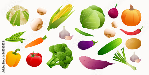 Fototapeta Naklejka Na Ścianę i Meble -  Vector vegetables icons set in cartoon style. Collection farm product for restaurant menu, market label.