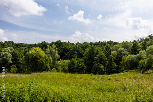 View to the nature reserve Hahnheide