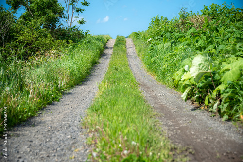 田舎道のイメージ 北海道ニセコエリア
