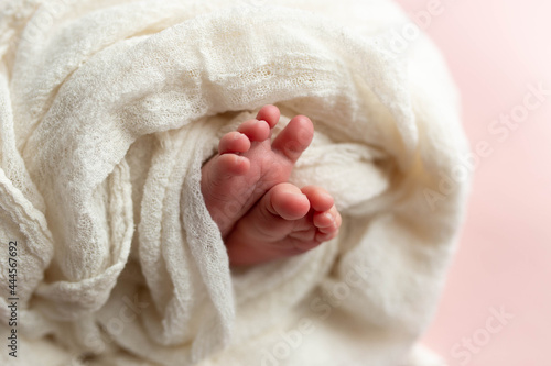 a small leg of the newborn in a white scarf. soft focus © Svetlana