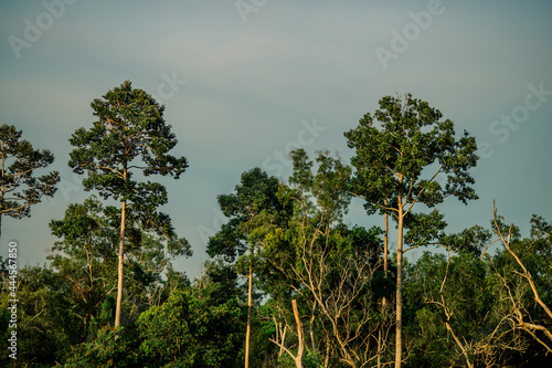 The panoramic natural background of the atmosphere at the natural reservoir scenic area at various tourist attractions, allowing tourists to stop and take pictures during the trip.