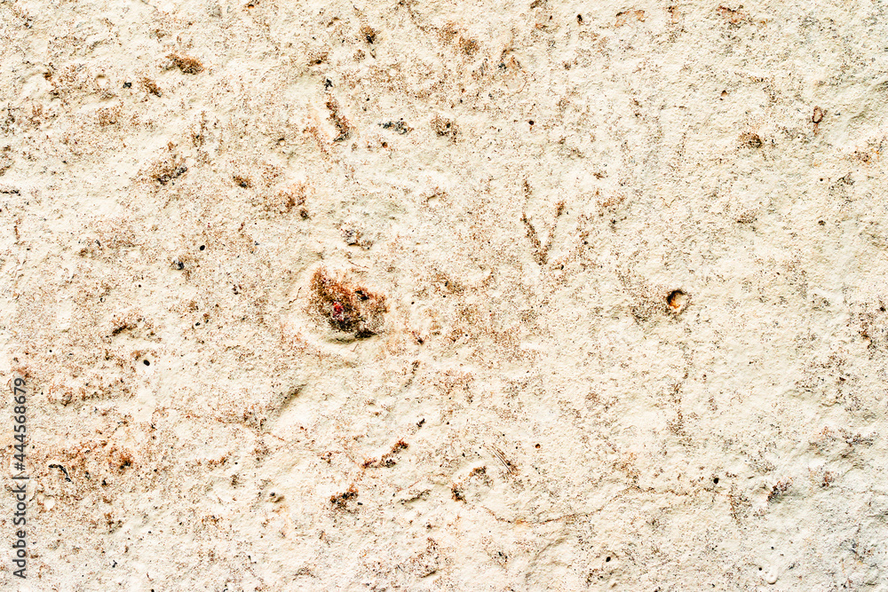 Texture of a concrete wall with cracks and scratches which can be used as a background Texture of a concrete wall with cracks and scratches which can be used as a background
