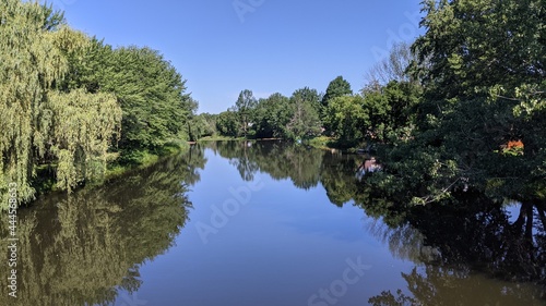 reflection of trees in the water