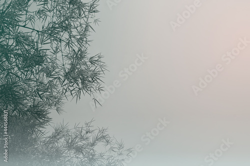 Bamboo leaves in fresh clear morning air. A serene in green nature atmosphere of beautiful bamboo forest. An energetic of summer background with copy space.