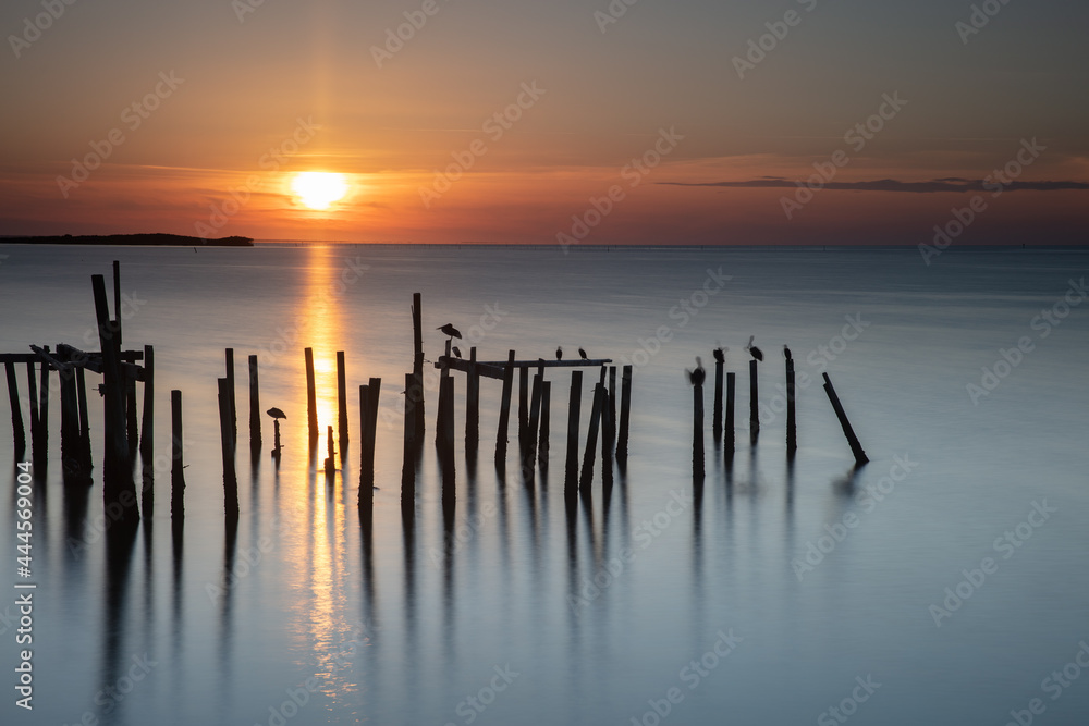 Fototapeta premium Cedar Key awakening