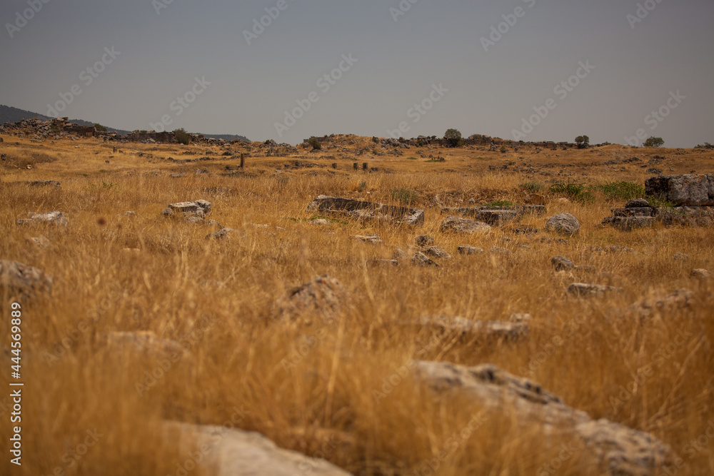 excavation in the field, Greek architecture