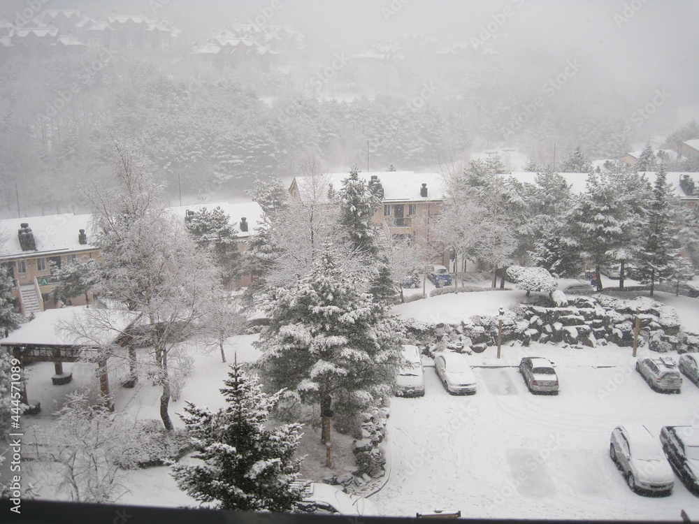 winter in the village winter in the village