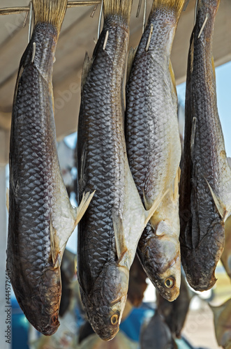 Dried Azov-Black Sea fish mullet photo
