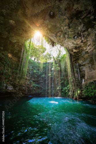 beautiful sunlight in a cenote of mexico photo