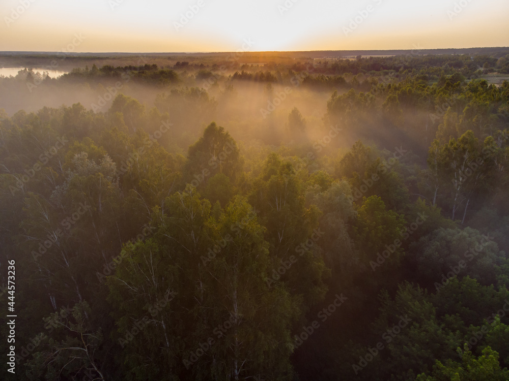 Misty morning in the forest taken using drone