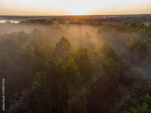 Misty morning in the forest taken using drone © Oleh Rode