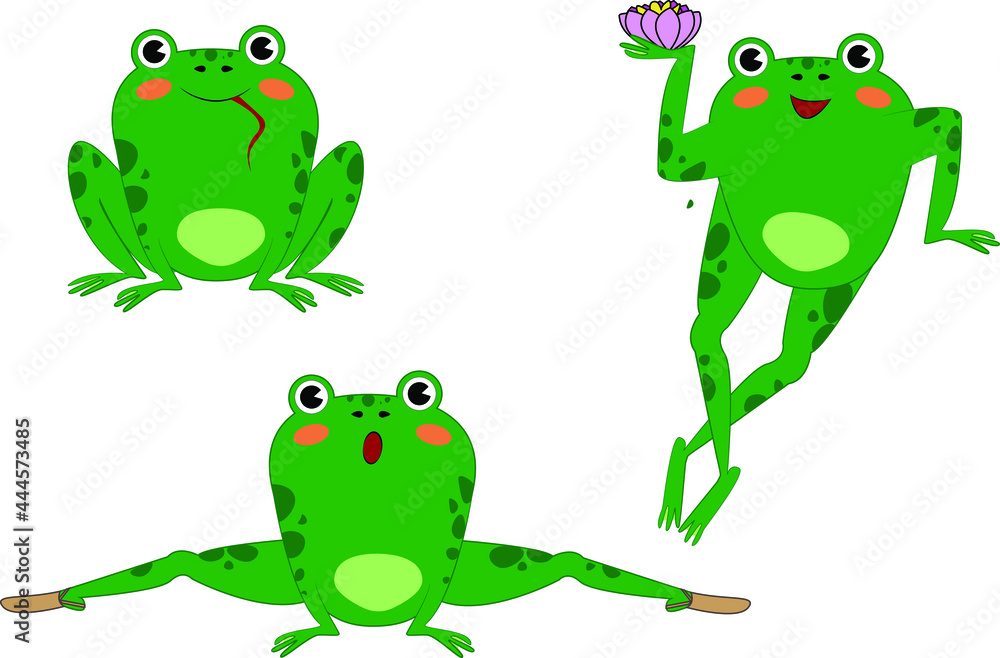 vector illustration of a set of frogs. Gymnast frog