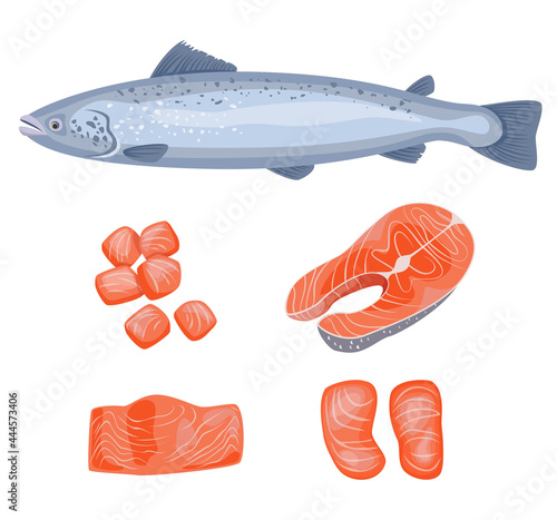 Salmon fish, salmon steak, fish steak on white background, seafood.