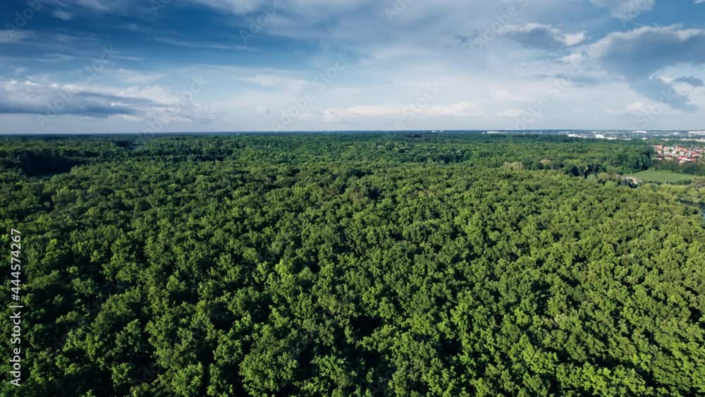 Aerial view summer forest Aerial view summer forest