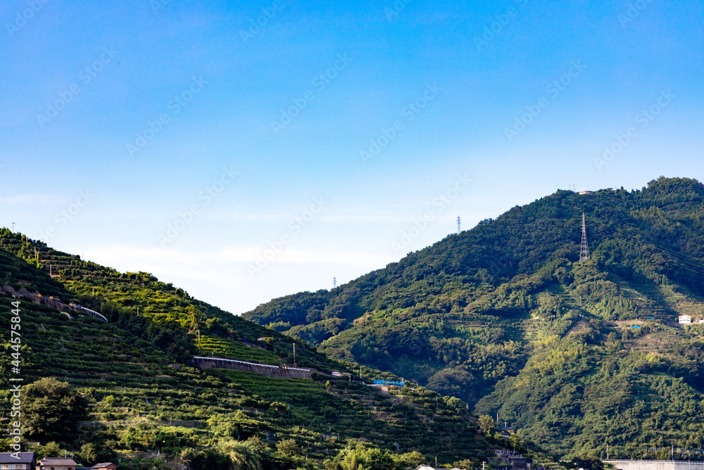 Fototapeta premium 空と山並み