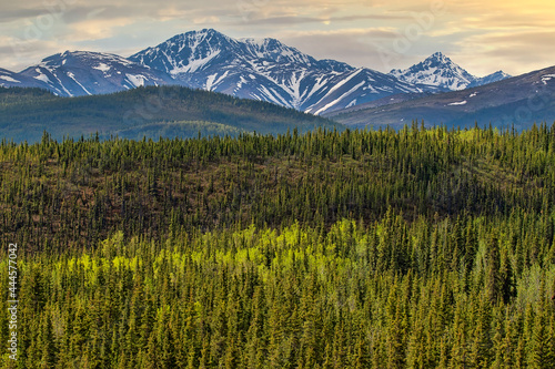 Scenic landscape of the Alaska frontier