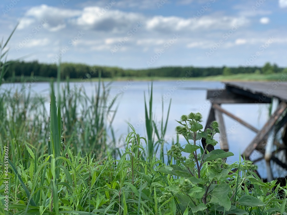 Wooden pier on the shore of the lake. Wooden pier on the shore of the lake.