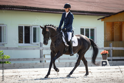 portrait of man rider and black stallion horse galloping during equestrian dressage competition in summer in daytime