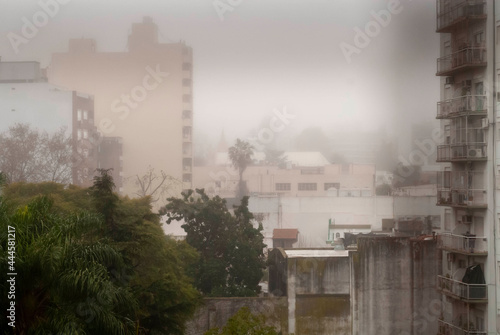 Wallpaper Mural Fog and cold in the city of BA Torontodigital.ca