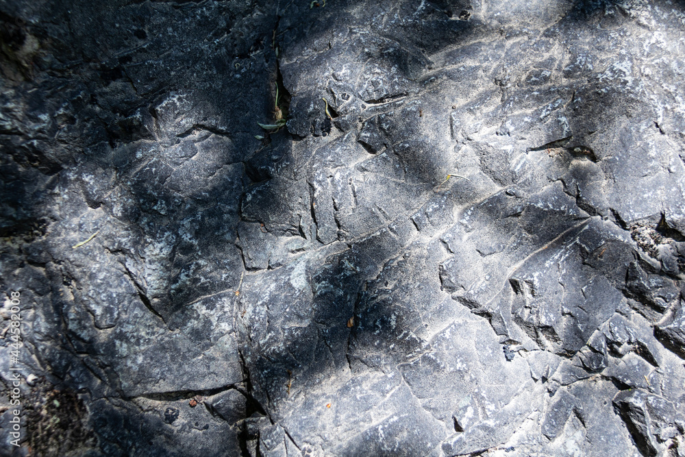 stone texture. Closeup of the rough texture of a big rock. Surface of the stone for natural background. Closeup blurred stone background texture stone texture. Closeup of the rough texture of a big rock. Surface of the stone for natural background. Closeup blurred stone background texture