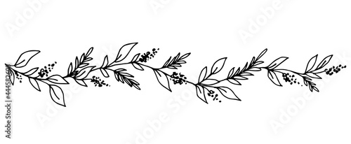 Simple hand-drawn vector drawing in black outline. Long floral banner, garland of leaves, inflorescences. Flower and branch. Ink sketch. Horizontal patterned border.
