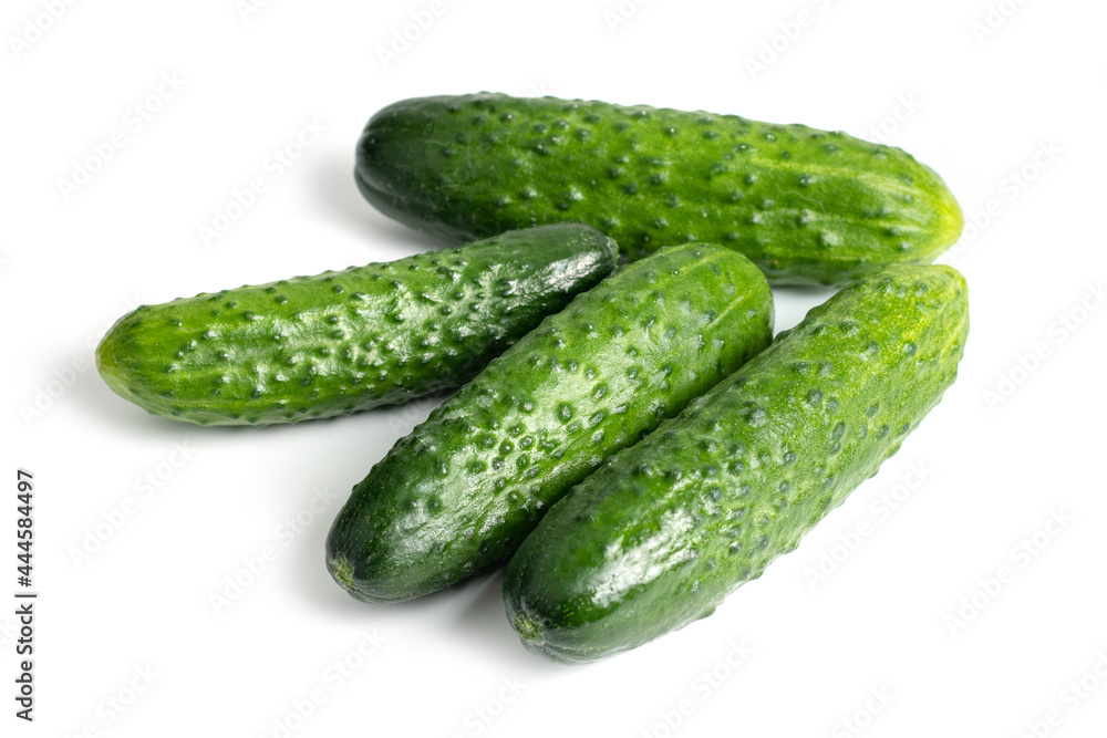 Fresh cucumbers isolated on white. Fresh cucumbers isolated on white.
