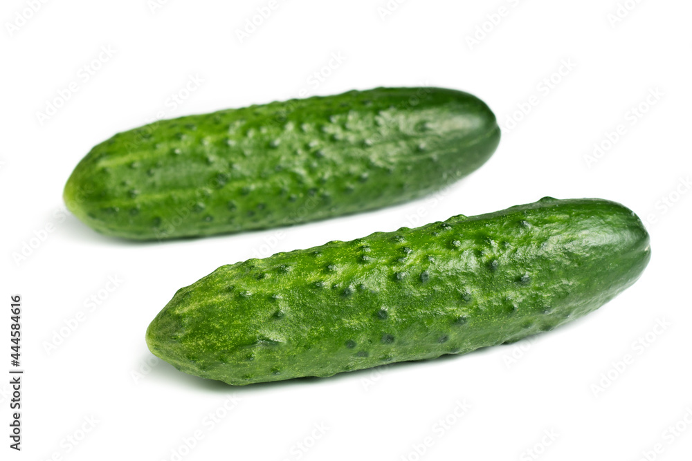 Fresh cucumbers isolated on white. Fresh cucumbers isolated on white.