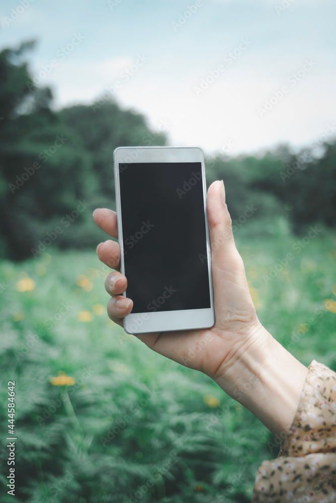 Business concept : Woman holding smartphone with blank screen on white background, closeup of hand, advertising text selling marketing products, mock up, Space for text.