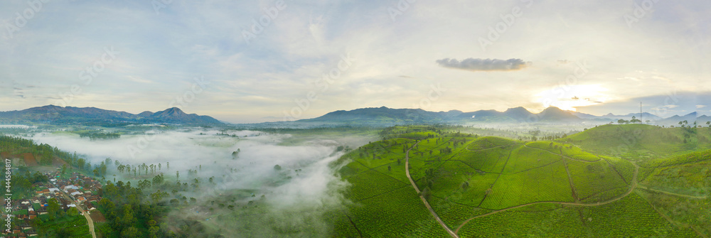 Beautiful panorama of tea plantation in Pangalengan