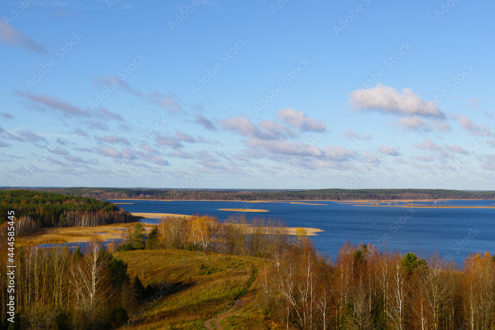 Blurred background, out of focus. View of the autumn forest and lake.