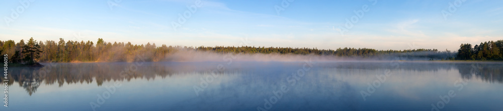forest lake with morning fog
