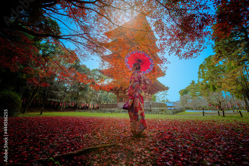 Photography Woman in dress of old fashion style of kimono holding retro umbrella standing un