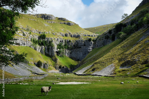 Limestone scenery at Gordale Scar, Yorkshire Dales, UK