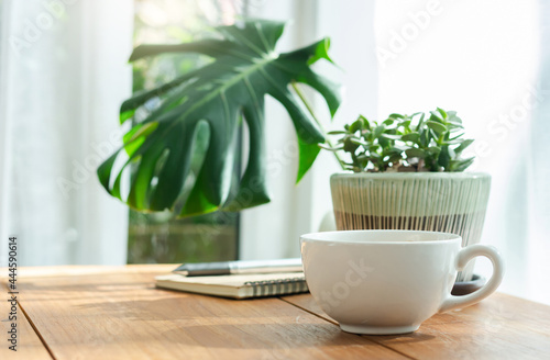 Soft focus of white coffee cup with small trees and green leaf in vase on wooden table near bright window