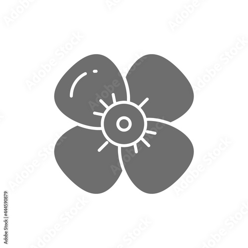 Vector cherry flower, apple blossom gray icon.