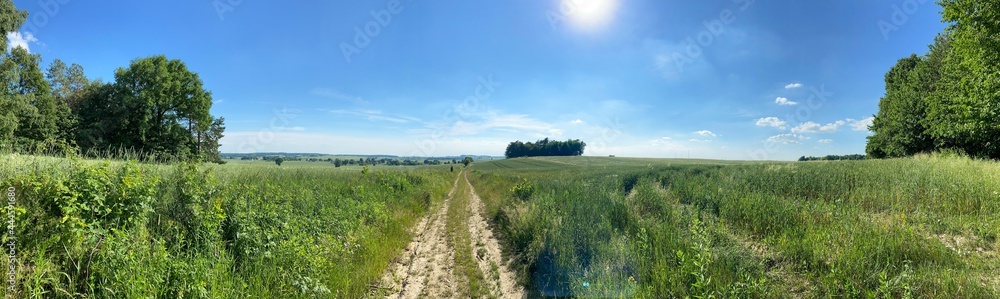 Summer Field Summer Field