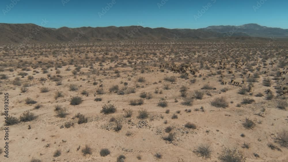 Aerial: flying over desert in Joshua Tree National Park, California, USA Aerial: flying over desert in Joshua Tree National Park, California, USA