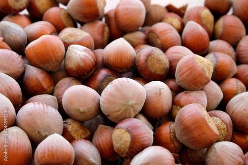 Hazelnuts close up, fruits dried in summer