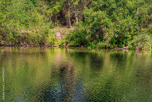 A lake with ripples on the water and a forest shore