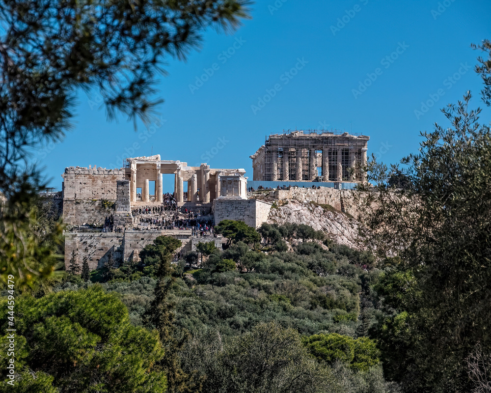 Parthenon on Acropolis of Athens Greece, between pine and olive trees foliage