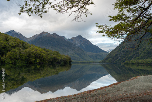 Tranquil lake Gunn in Fiordland National Park, landscape reflecting on the water surface, New Zealand photo