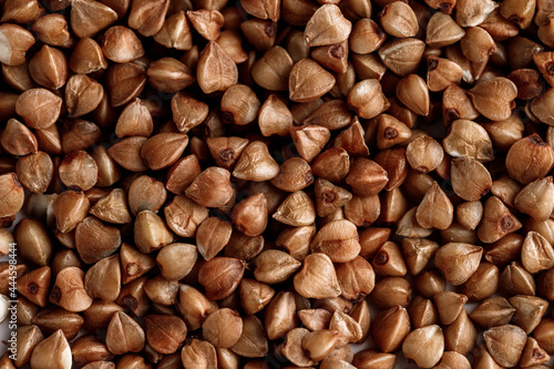 Macro photo of buckwheat groats. Many small objects close up. Healthly food