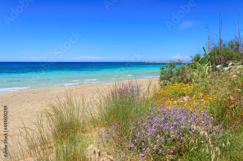 Marina di Salve Beach, almost sandy and embellished with low cliffs, easy to reach in the area of the municipalities of Salve and Ugento in Apulia, Italy. In background Torre Pali watchtower.