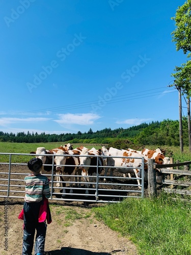 farmer working in a farm