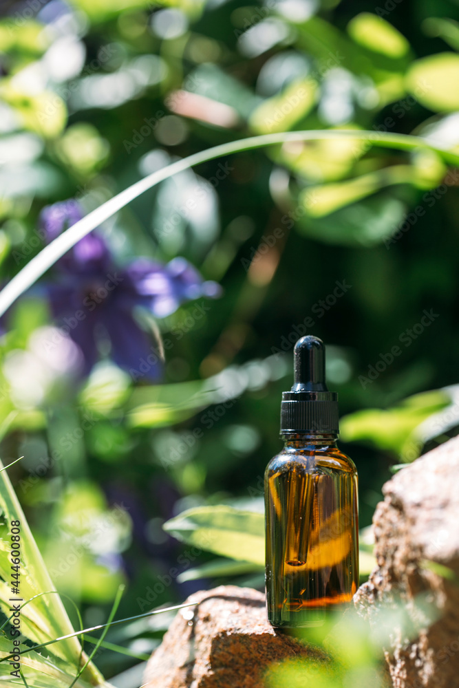 glass cosmetic bottle with face serum with pipette on nature background glass cosmetic bottle with face serum with pipette on nature background